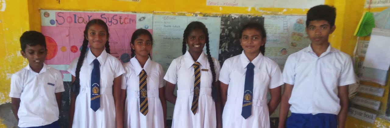 වෙබ් අඩවි සංවර්ධන කණ්ඩායම - 2024